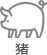 猪